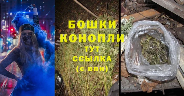 ГАЛЛЮЦИНОГЕННЫЕ ГРИБЫ Ладушкин