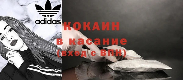 ГАЛЛЮЦИНОГЕННЫЕ ГРИБЫ Ладушкин