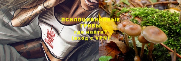 ГАЛЛЮЦИНОГЕННЫЕ ГРИБЫ Ладушкин