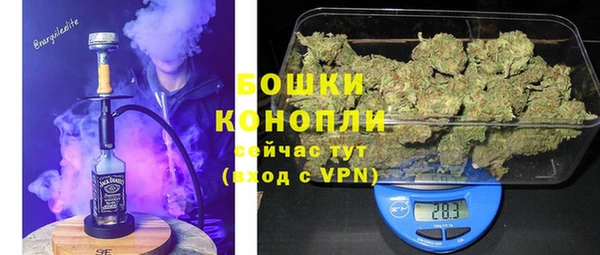 ГАЛЛЮЦИНОГЕННЫЕ ГРИБЫ Ладушкин