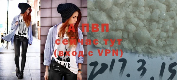 ГАЛЛЮЦИНОГЕННЫЕ ГРИБЫ Ладушкин