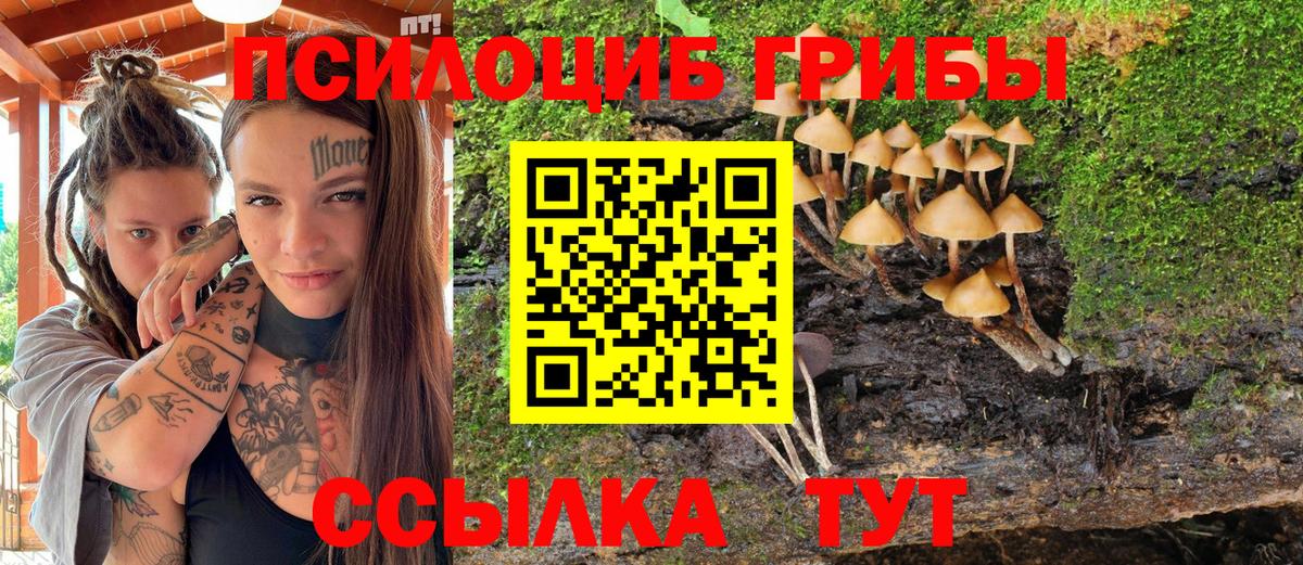Псилоцибиновые грибы мицелий  что такое   Тула  Псилоцибиновые грибы GOLDEN TEACHER  Вход с VPN 